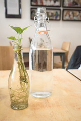 Interior shot of cafe table with homemade centre decorations.  Glass bottle with water and glass jar with plant