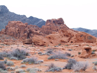 Valley  of Fire