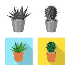 Isolated object of cactus and pot symbol. Collection of cactus and cacti stock symbol for web.