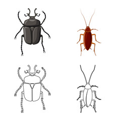 Vector illustration of insect and fly icon. Set of insect and element stock vector illustration.