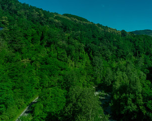 Italy,La Spezia to Kasltelruth train, a close up of a lush green forest