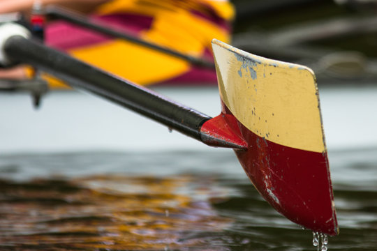 Durham / Great Britain - June 14, 2014: Yellow and red boat oar coming out of the water with drips coming off the bottom.