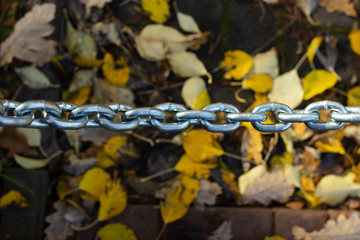 iron chain fence in autumn park