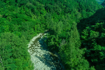 Fototapeta na wymiar Italy, a small water creek in the forest