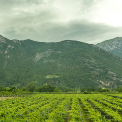 Italy,La Spezia to Kasltelruth train, a large green field with a mountain in the background