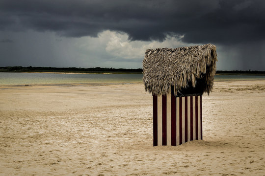 Solitario