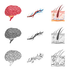 Isolated object of body and human sign. Set of body and medical stock symbol for web.