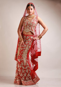 Indian bride in traditional bridal sari in studio lighting indoor