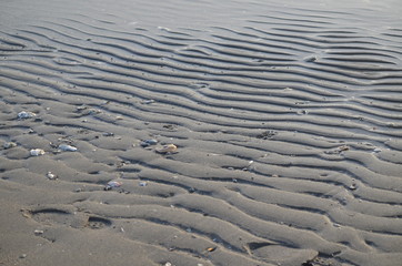 ripples in the sand
