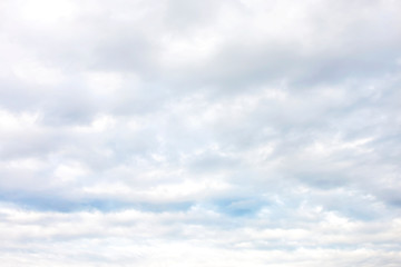 The soft white cloud in the sky.