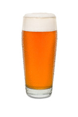 Sweated Craft Pub Beer Glass #3
