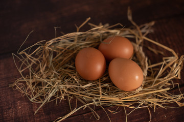 eggs on dark background
