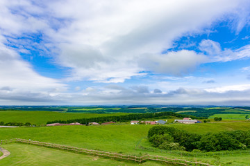 北海道多和平　地平線の見える牧場