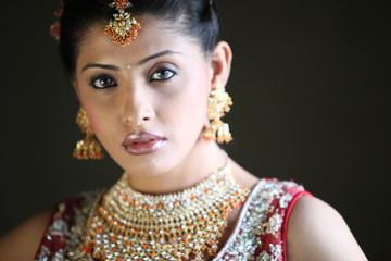 Fototapeta premium Indian bride in traditional bridal sari in studio lighting indoor