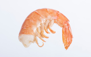 studio image of a shrimp