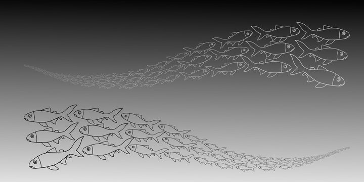 Contour fish from small to crooked moving in different directions on a gradient gray background.