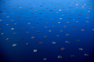 images of mussel rafts in galicia