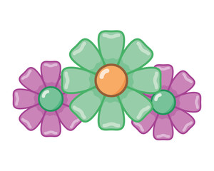 flowers nature decoration