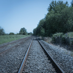 Naklejka premium rails