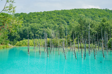 The beautiful Shirogane Blue Pond