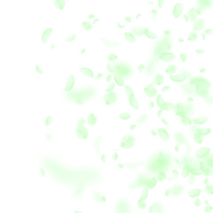Green flower petals falling down. Comely romantic 
