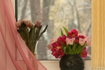 By the window stood two vases with tulips
