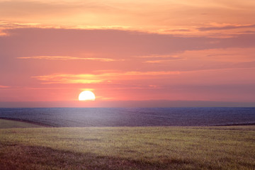 Sunset in the field. The sun is low above the horizon in the open field_
