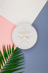 Plate with sea star on color paper background