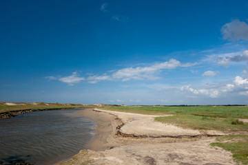 View at Het Zwin park, Belgium
