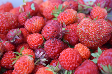 Heap of ripe dirty strawberry close up 