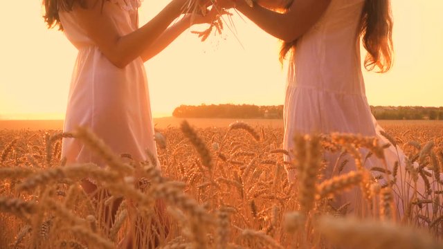 Two girls make a wreath of ears on wheat field
