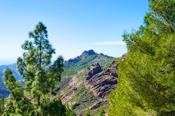 Fototapeta na wymiar Beautiful view of the mountains. Grand Canaria. Spain. Travels. Rest.