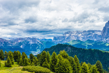 Alpe di Siusi, Seiser Alm with Sassolungo Langkofel Dolomite, a large mountain in the background