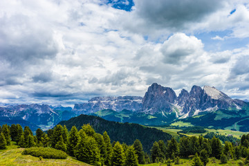 Alpe di Siusi, Seiser Alm with Sassolungo Langkofel Dolomite, a view of a large mountain in the background