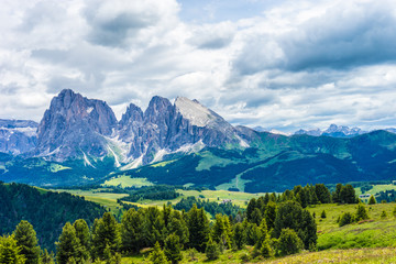 Alpe di Siusi, Seiser Alm with Sassolungo Langkofel Dolomite, a view of a large mountain in the background