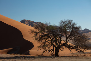 Huge Orange Dunes in Sossusvlei National Park in Namibia