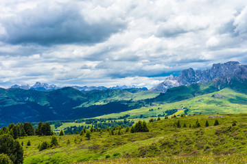 Alpe di Siusi, Seiser Alm with Sassolungo Langkofel Dolomite, a large green field with a mountain in the background