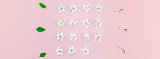 White spring cherry tree blooming flowers pattern