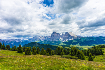 Alpe di Siusi, Seiser Alm with Sassolungo Langkofel Dolomite, a large green field with a mountain in the background