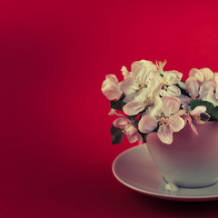 White spring apple tree blooming flowers in a cup