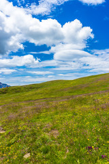 Alpe di Siusi, Seiser Alm with Sassolungo Langkofel Dolomite, a close up of a lush green hillside