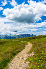 Alpe di Siusi, Seiser Alm with Sassolungo Langkofel Dolomite, a trekking walking winding path in a lush green field