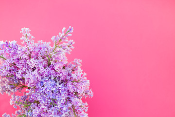 Pink background with lilac flowers