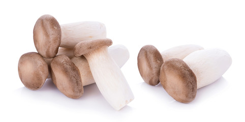 King oyster mushroom Pleurotus eryngii on white background