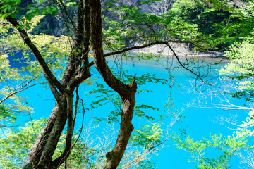 写真素材：寸又峡、静岡県、エメラルドグリーン、自然、風景