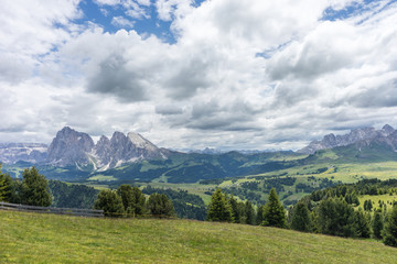 Fototapeta premium Alpe di Siusi, Seiser Alm with Sassolungo Langkofel Dolomite, a large green field with a mountain in the background