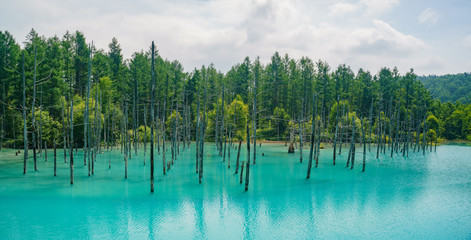 The beautiful Shirogane Blue Pond