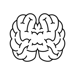 top view human brain