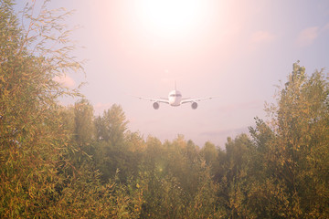 Fototapeta na wymiar The plane over the forest the sun is shining. sunset.