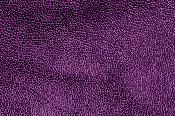 Weathered leather texture in purple tone.